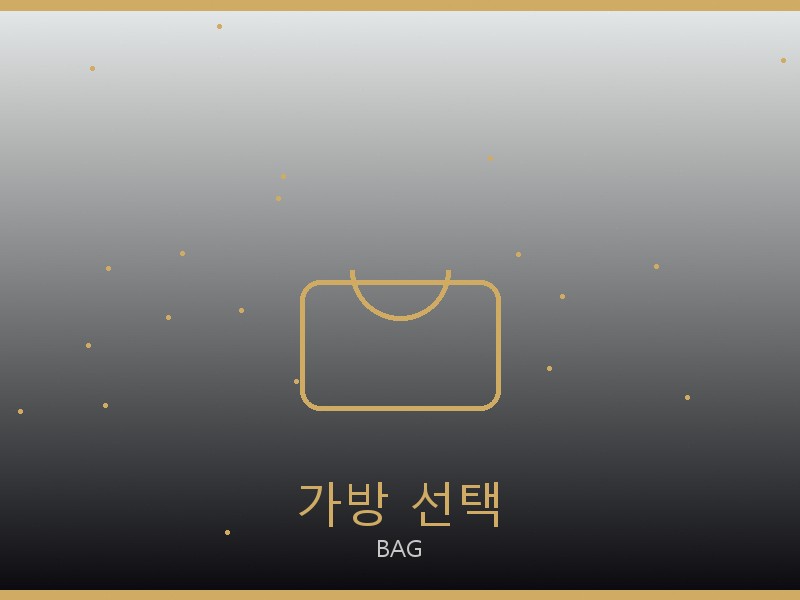 디올 레이디백 레플리카 사이트 가방 선택 가이드