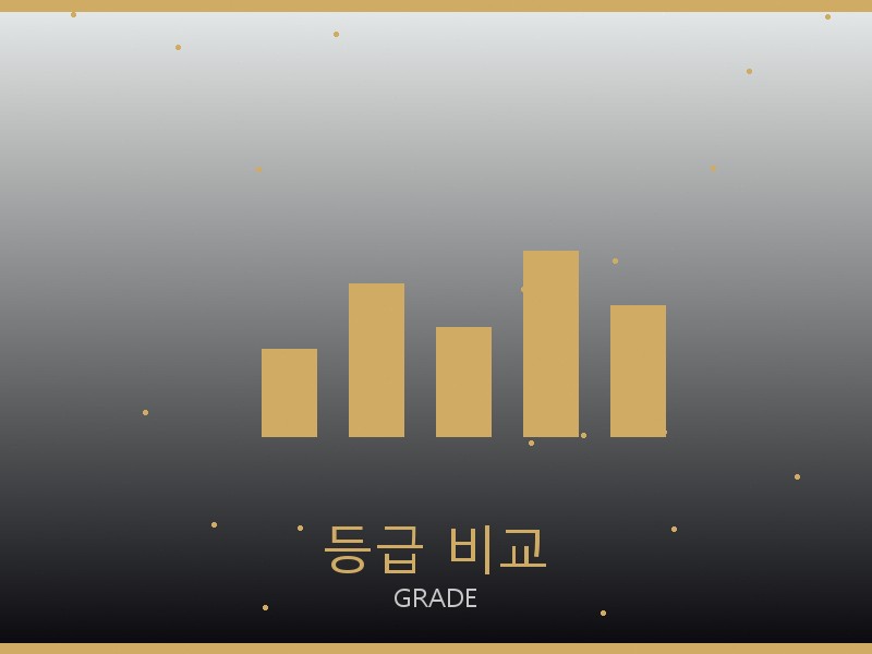 디올 레이디백 레플리카 사이트 등급 기준 비교