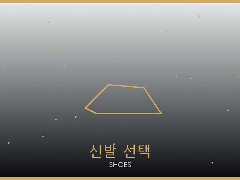 디올 레이디백 레플리카 사이트 신발 선택 가이드